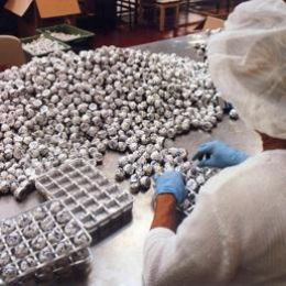 Riforma del Lavoro, nella legge delega l'eventuale modifica dell'articolo 18