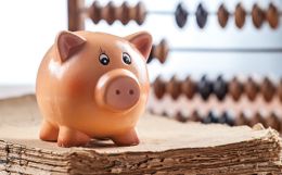 Pensioni, Il pensionato statale che esercita attivit&agrave; professionale ha diritto al supplemento