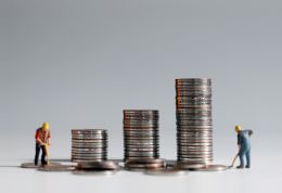 Fondo Tesoreria INPS, Fuori gli occasionali