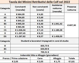 Lavoro Domestico, Ecco i nuovi minimi retributivi dal 1&deg; gennaio 2022