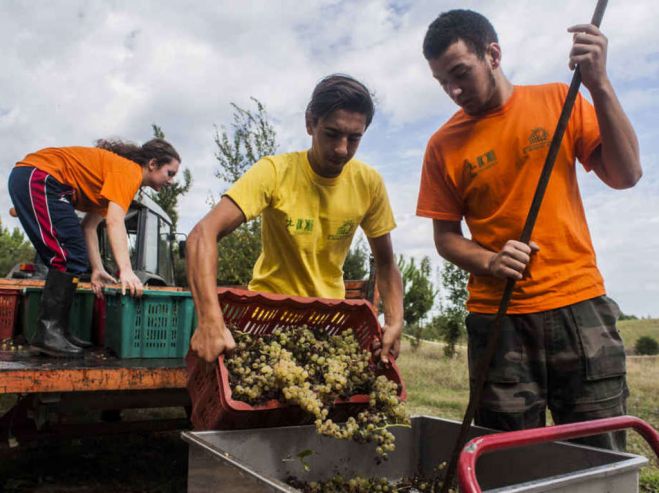 Pensioni, Si amplia la decontribuzione per gli agricoltori under40